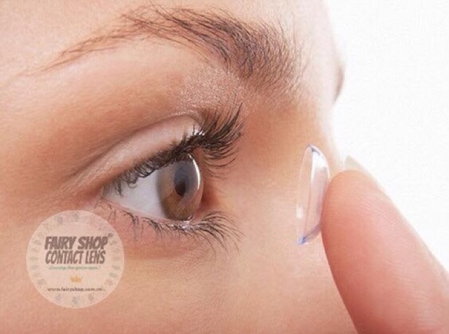 Kính Áp Tròng Trong Suốt 14.0mm - Kính Áp Tròng FAIRY SHOP CONTACT LENS  độ 0 đến 15