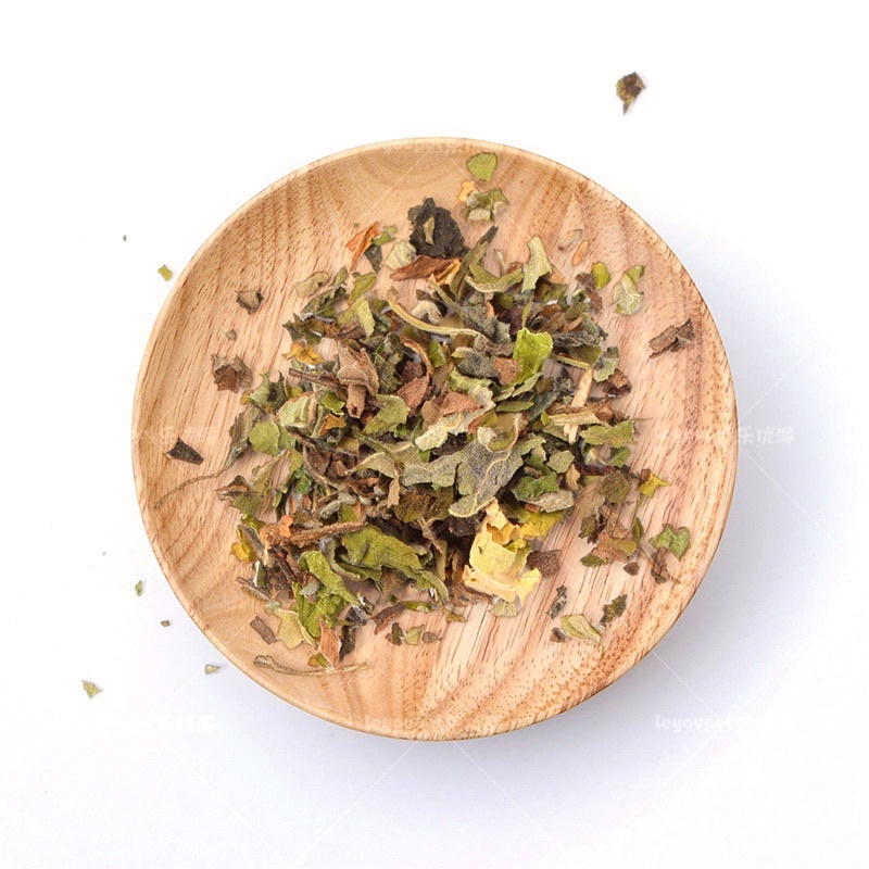 CATNIP BẠC HÀ CHO MÈO.
