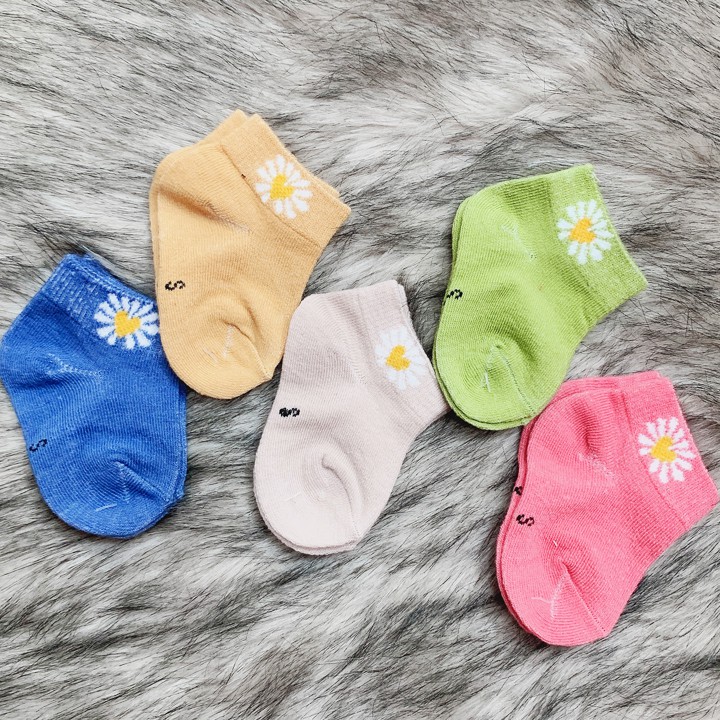 Set 5 đôi tất vớ cổ thấp cho bé 0-2 tuổi chất cotton nhẹ mát 5 màu phối hoa cúc hottrend xinh xắn BBShine – T014