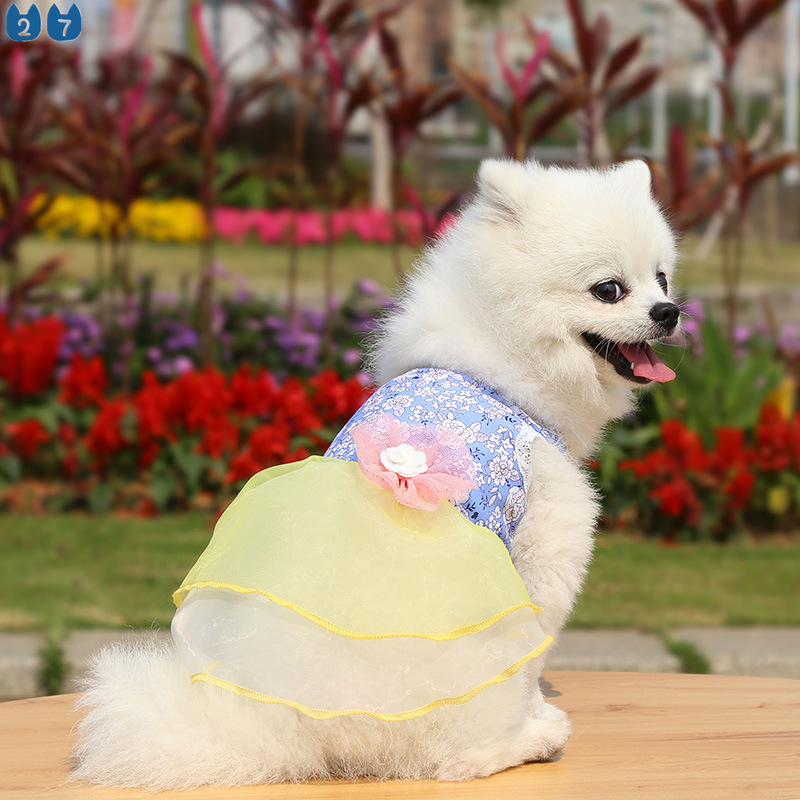 Đầm Cưới Công Chúa Họa Tiết Hoa Và Mèo Phong Cách Hàn Quốc 27Pets