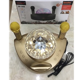 Loa Karaoke Bluetooth Đèn Led Vũ Trường SD 308