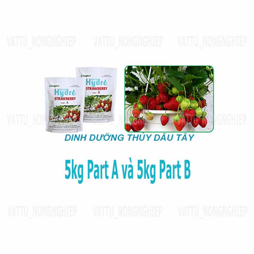 Dinh dưỡng thủy canh trồng dâu tây Hợp Trí Hydro Strawberry (10kg) - (NEW)