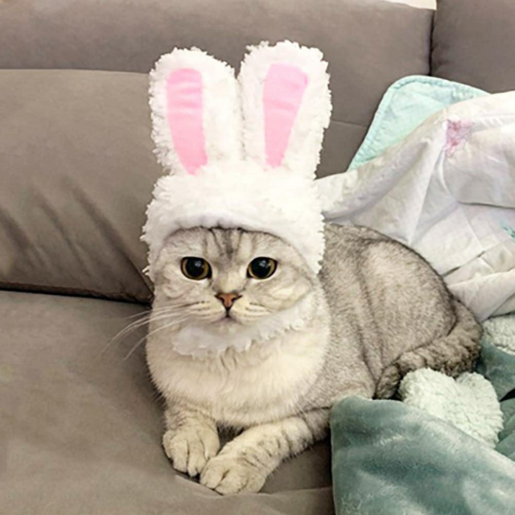 Mũ Cosplay Hình Tai Thỏ Cho Thú Cưng Chó Mèo Dưới 5kg Siêu Đáng Yêu