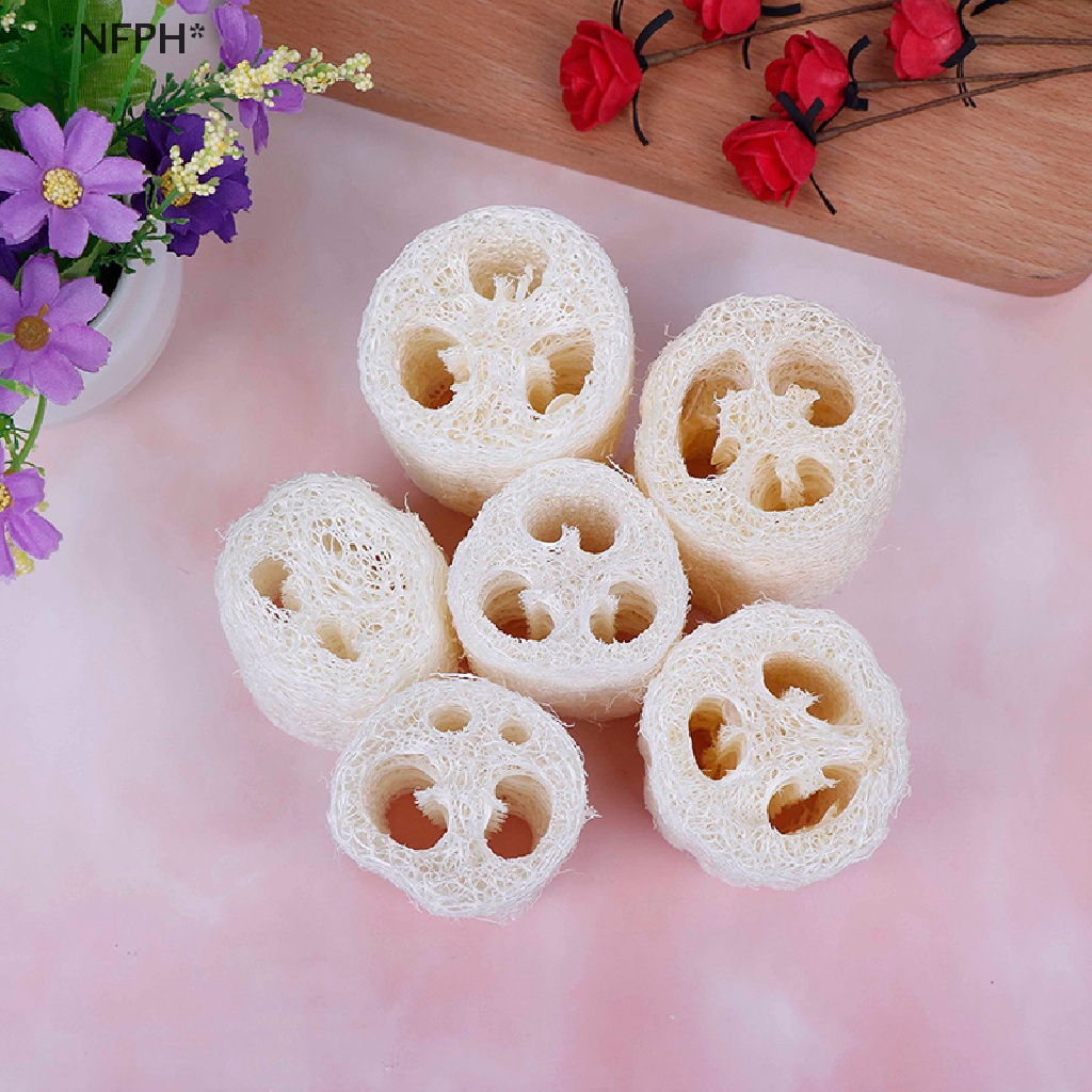 Set 6 Miếng Xơ Mướp Tự Nhiên Chà Rửa Vệ Sinh Nhà Bếp / Spa [Hot]