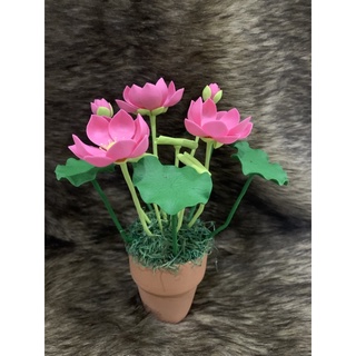 chậu hoa sen đất sét size nhỏ