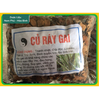 1kg củ ráy gai - móp gai - mướp gai - sâm nước hòa bình giá sỉ