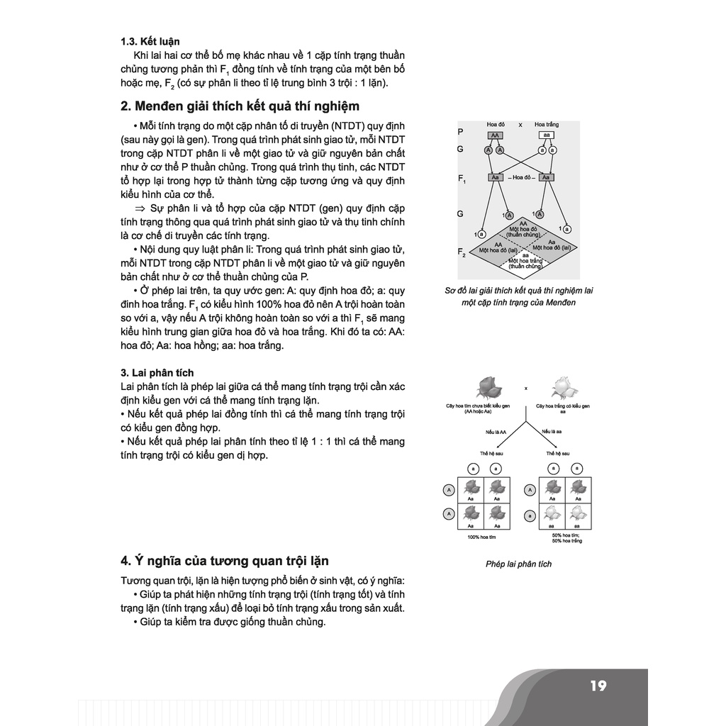 Sách - Bí quyết chinh phục điểm cao Sinh học 9 - Tham khảo lớp 9 - Siêu tiết kiệm - Chính hãng CCbook