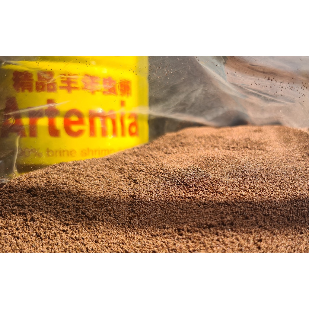 Trứng Artemia Lon Vàng Trung Quốc - Tỉ lệ nở cực cao - Giá lại rẻ hơn loại khác - Hủ nhỏ