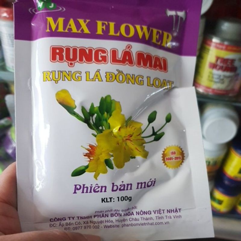 RỤNG LÁ MAI