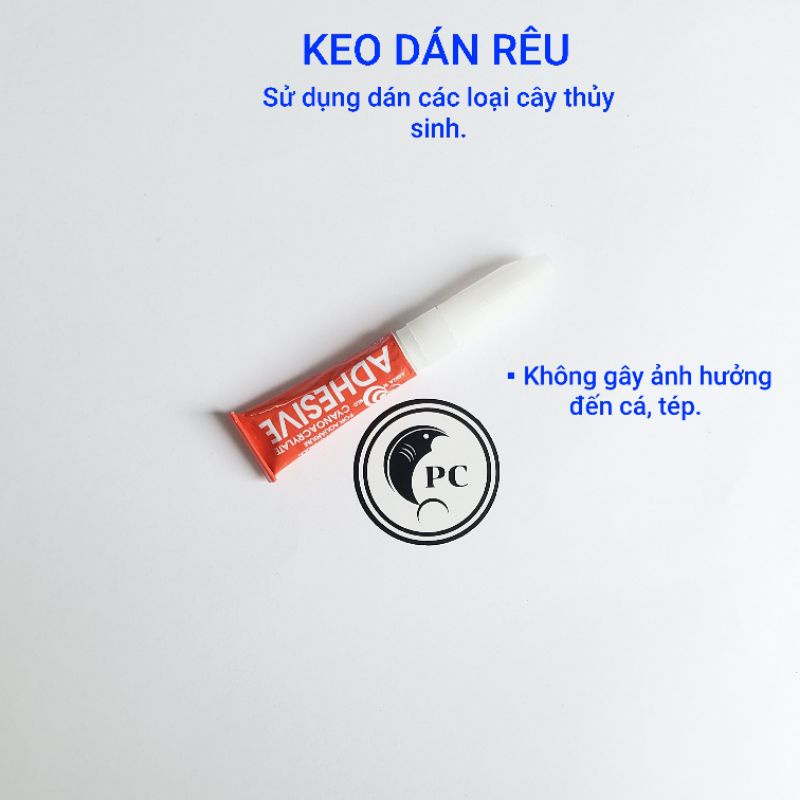 Keo dán cây thủy sinh giúp cố định cây vào đá, nền, hồ