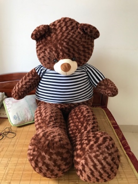 Gấu teddy 1m6 (kèm ảnh thật)