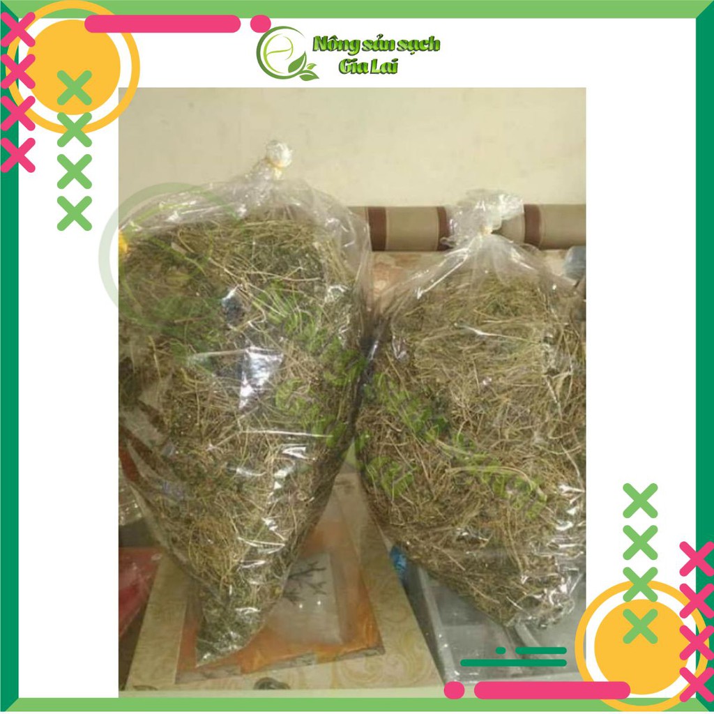 Cây khổ qua rừng hỗ trợ trị tiểu đường | BigBuy360 - bigbuy360.vn