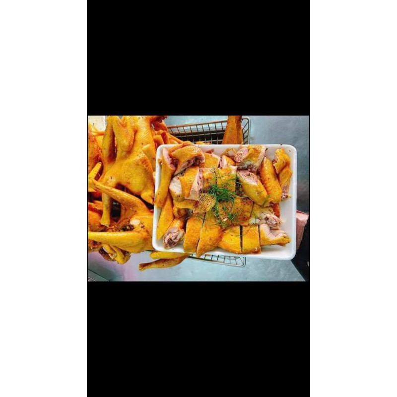 GÀ Ủ MUỐI HOA TIÊU Nguyên Con