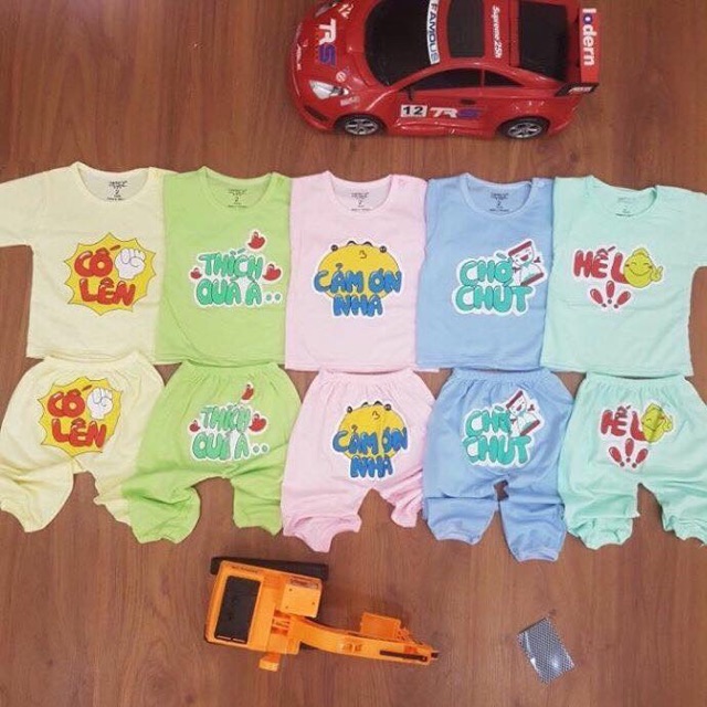 Combo bộ dài tường vi