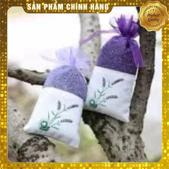 Nụ hoa lavender khô