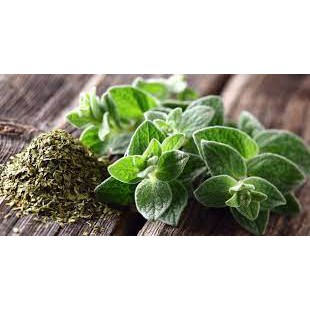 Lá Oregano Khô Nghiền