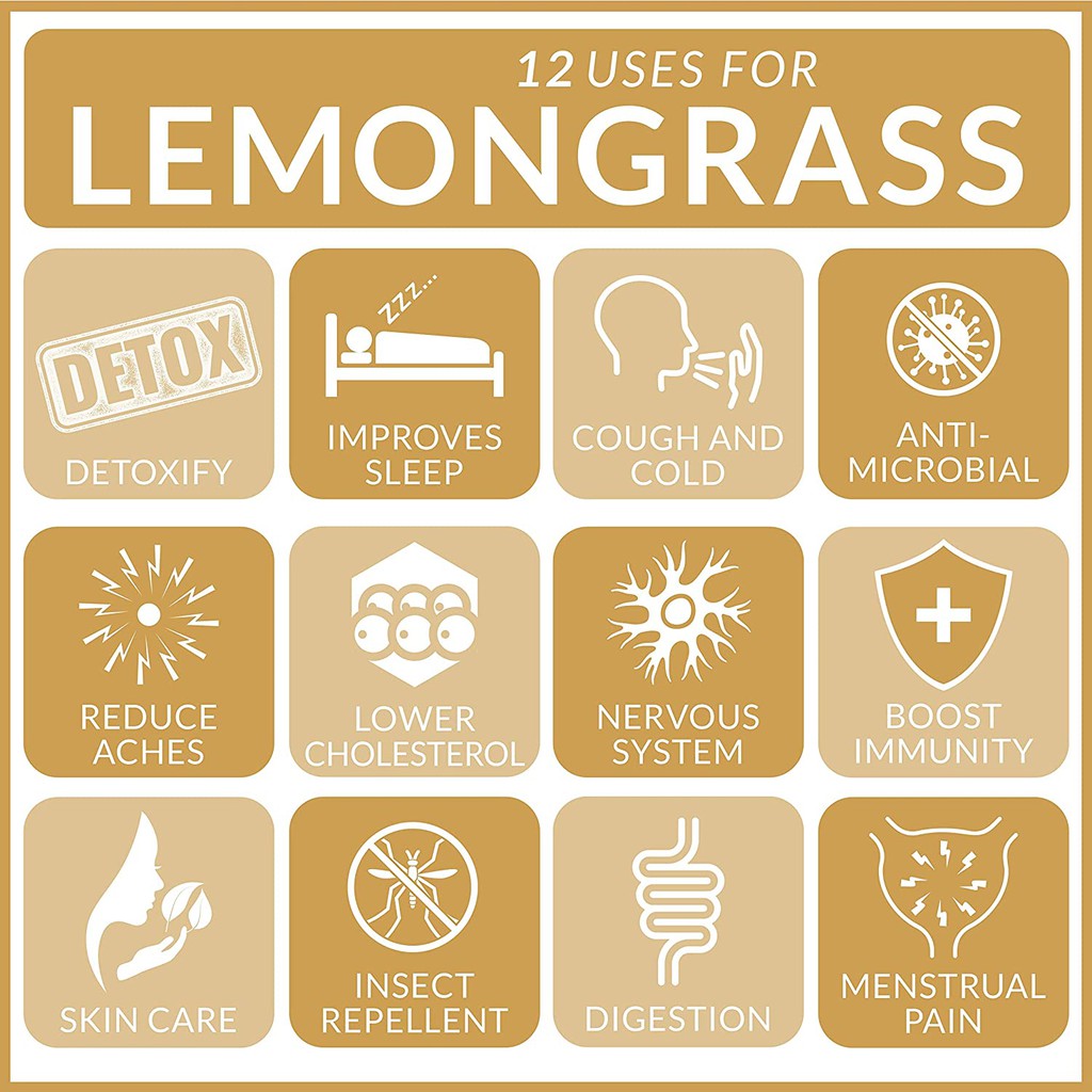 [Tinh dầu Sả artnaturals USA] ✅ Tinh Dầu Sả - Lemongrass 10ml, khử khuẩn không khí, giải cảm hiệu quả