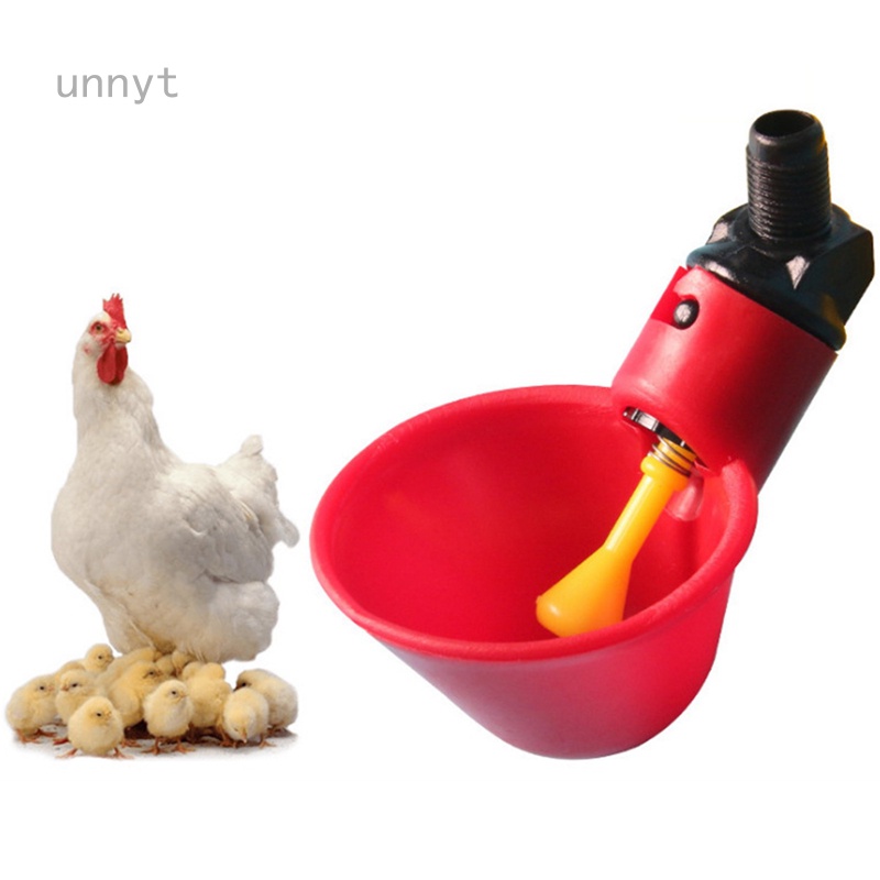 10 Máng Uống Nước Tự Động Cho Gà