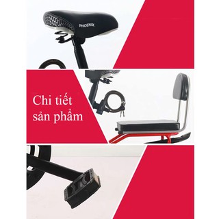 XE GẤP GỌN PHOENIX