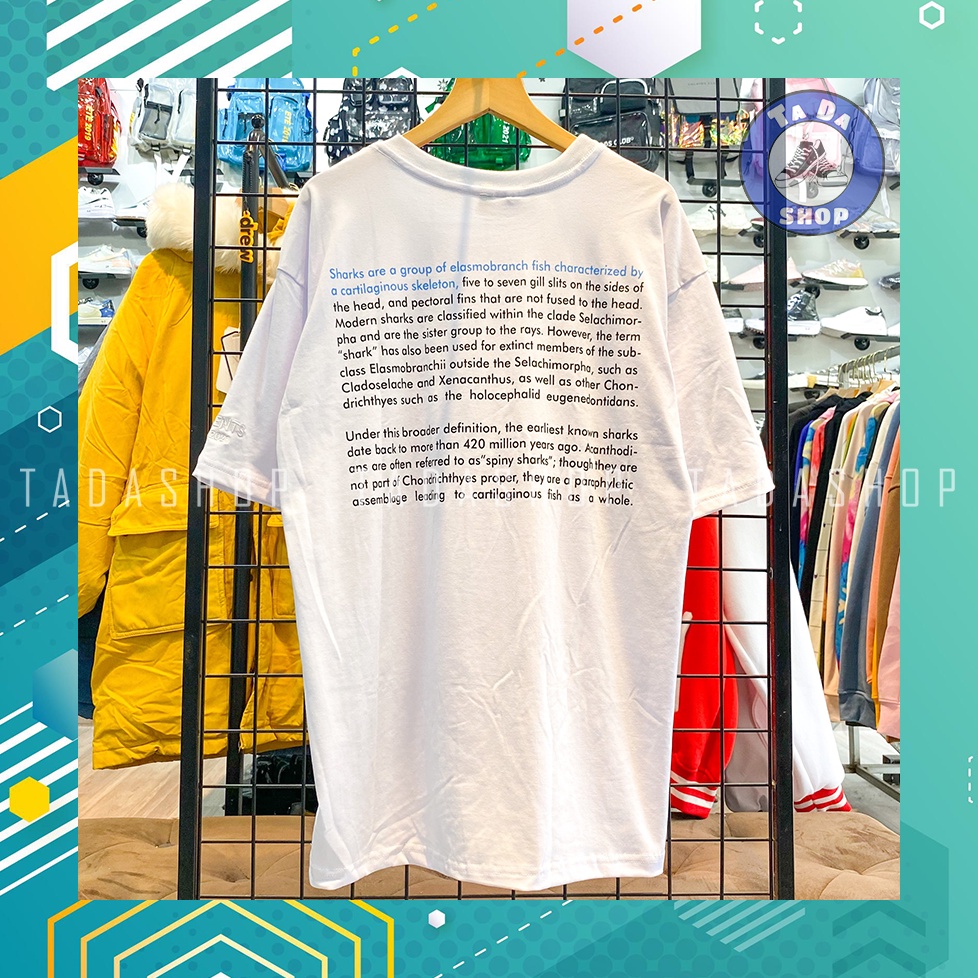 Áo Phông  oversize Nam Nữ Levent cá mập ảnh thật