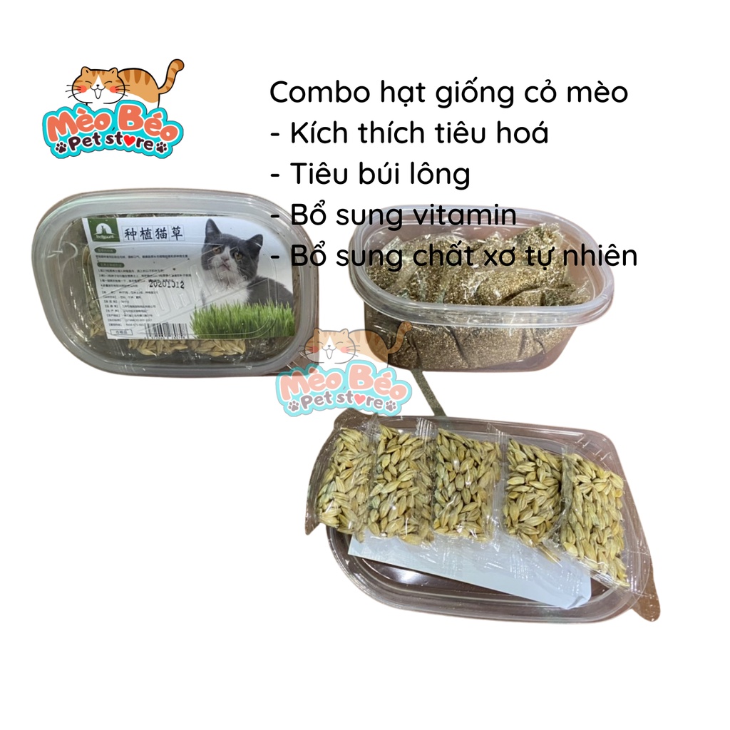 Combo hạt giống cỏ mèo dinh dưỡng, kích thích tiêu hóa cho mèo