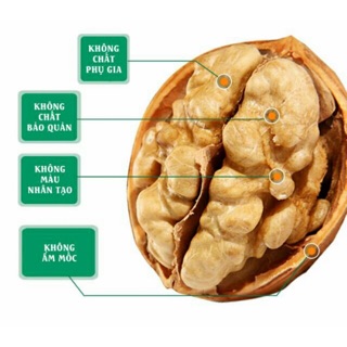 500G ÓC CHÓ RỪNG SAPA QUẢ TO MẨY VỎ MỎNG