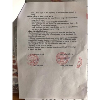 MẶT NẠ THẢI ĐỘC SỦI BỌT
