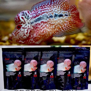Thức ăn cho cá la hán Secret Black