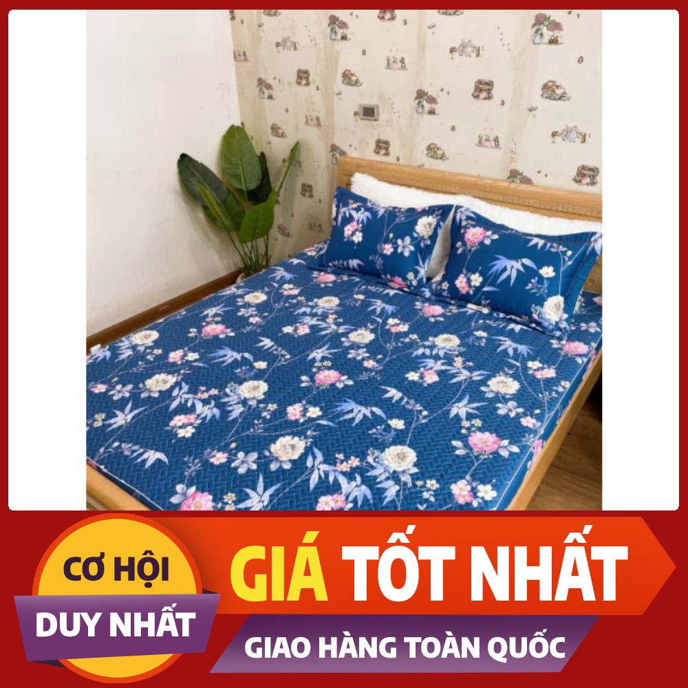 Ga gối chun trần bông cotton 100% , vỏ gối 45*65( chat chọn mẫu)