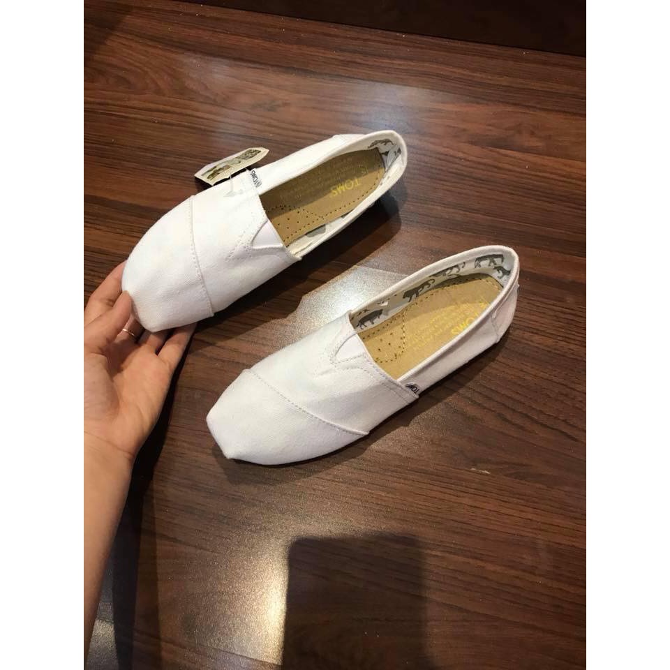 Toms trắng đế xốp