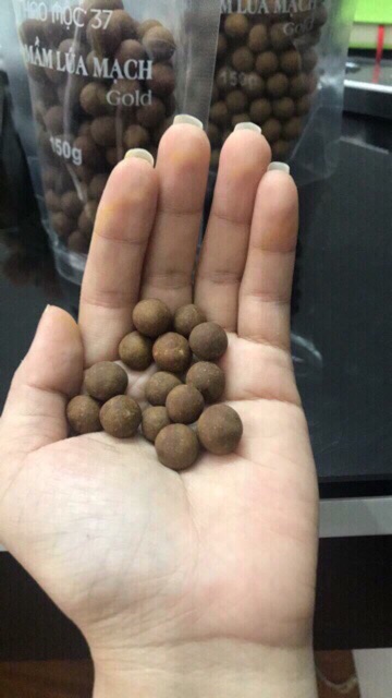 Kẹo Mầm Lúa Mạch Gold | BigBuy360 - bigbuy360.vn