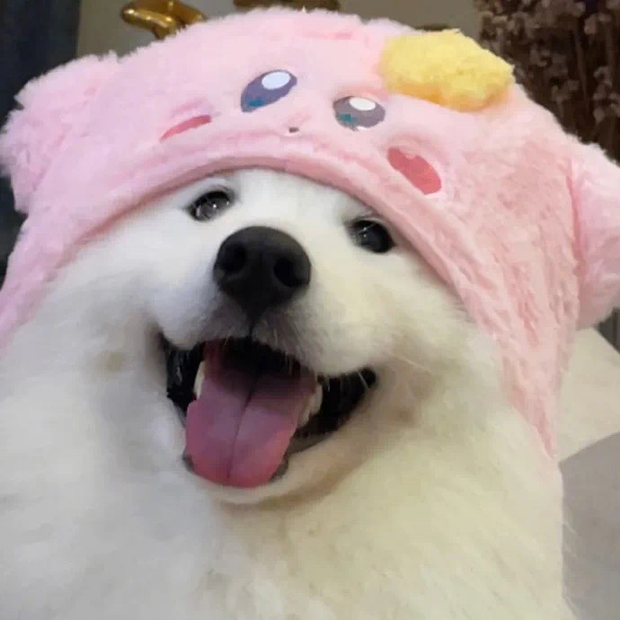 HappyGo011.vn