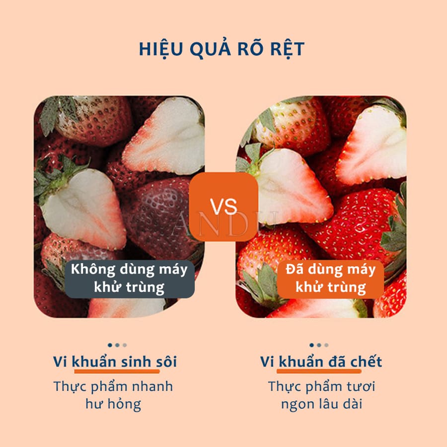 Máy Khử Trùng Thực Phẩm , Tiệt Trùng Rau Củ Hoa Quả Loại Bỏ Vi Khuẩn