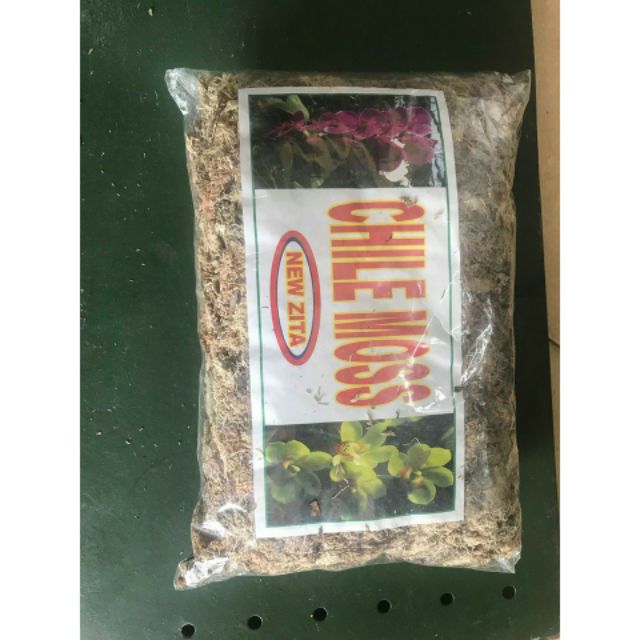 dớn mềm trồng lan - dớn CHILE MOSS- gói 100gr
