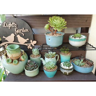 Ly gốm sứ Nhật trồng cây