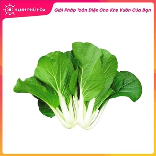 Hạt Giống Cải Bẹ Trắng Trang Nông- 20 gram-Tỉ Lệ Nảy Mầm Cao, Thu Hoạch Quanh Năm, Ăn Ngon Ngọt, Tốt Cho Sức Khỏe