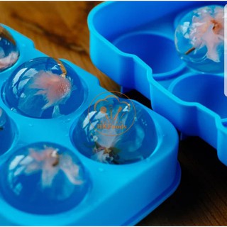 Khuôn Silicon Mochi 6 ô