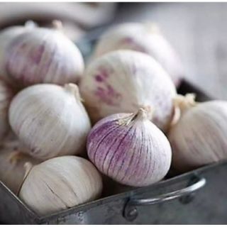Combo 2kg tỏi cô đơn