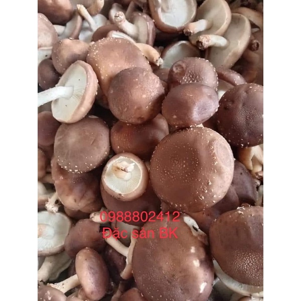 Nấm hương đặc sản bắc cạn 100gr