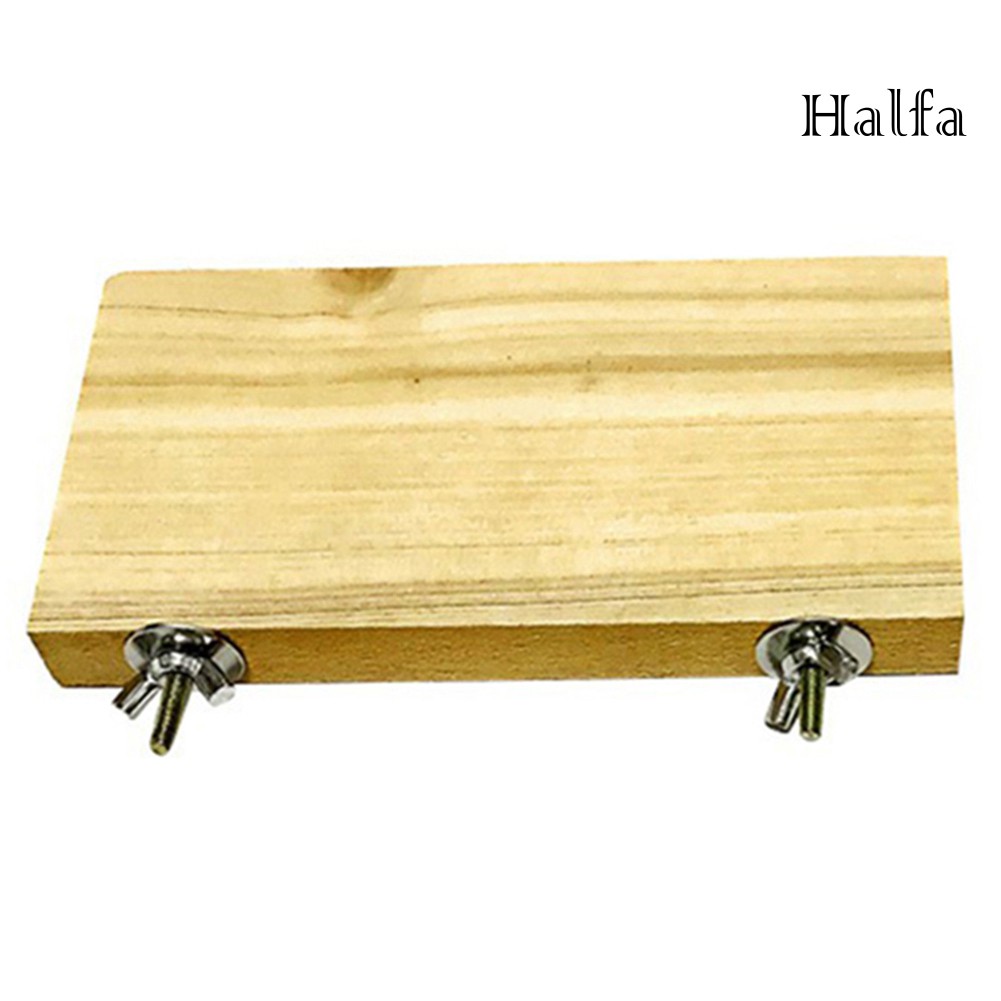 Bệ gỗ đứng cho chim vẹt gắn lồng độc đáo vui nhộn