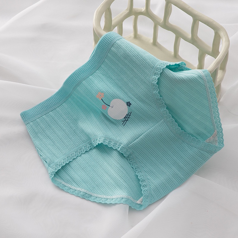 Bộ 1/5 Quần Lót Cotton Lưng Vừa Thoáng Khí Cho Nữ