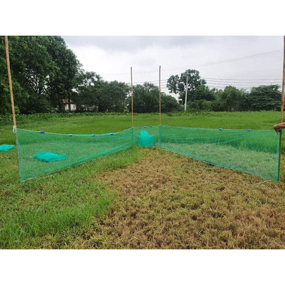 Đăng chặn sông, cống - bắt tôm tép tất cả các loại cá - Dớn bắt cá, cua, lươn 30/50