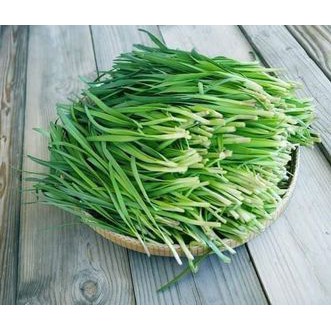 300 hạt - Hạt Giống Hẹ Cao Sản, Chất Lượng Cao CHIATAI