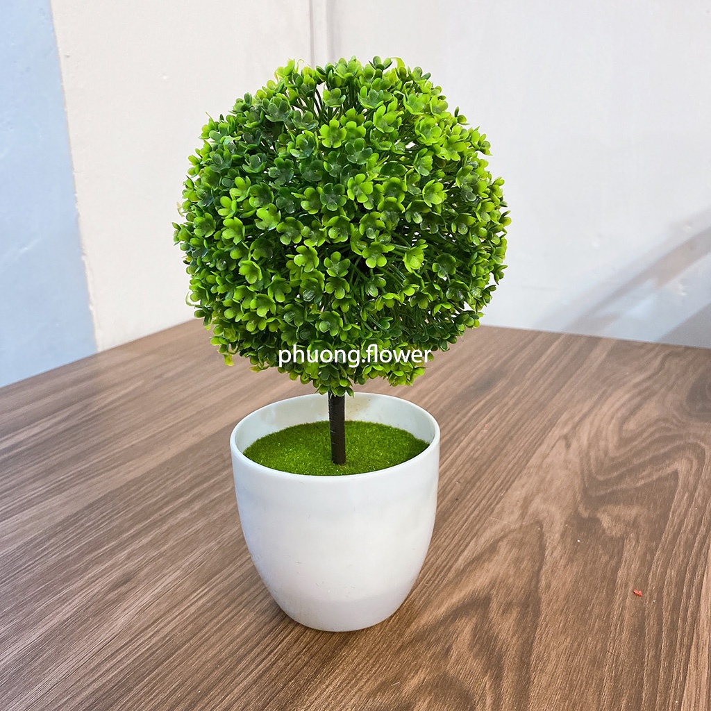 Chậu hoa Cẩm Tú Cầu kèm chậu cây Cỏ bóng tròn bằng nhựa đủ màu trang trí decor bàn làm việc