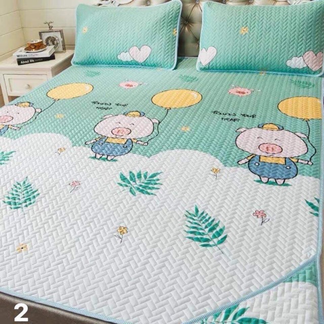 Combo Chiếu điều hoà tencel 1m5