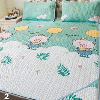 Combo Chiếu điều hoà tencel 1m5