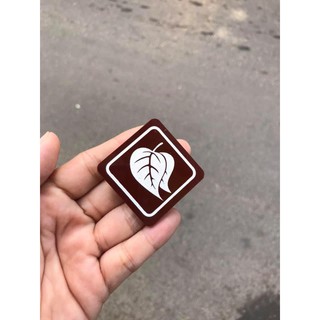 Bậc học ngành thanh GĐPT