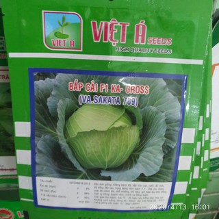 Hạt giống bắp cải Sakata F1 gói 10g( trồng được 1 sào)