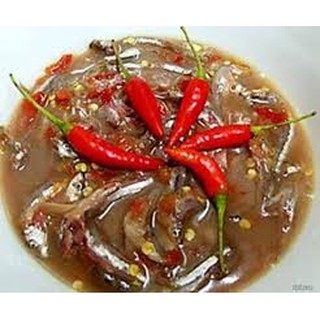 Mắm cá cơm Dì Cẩn