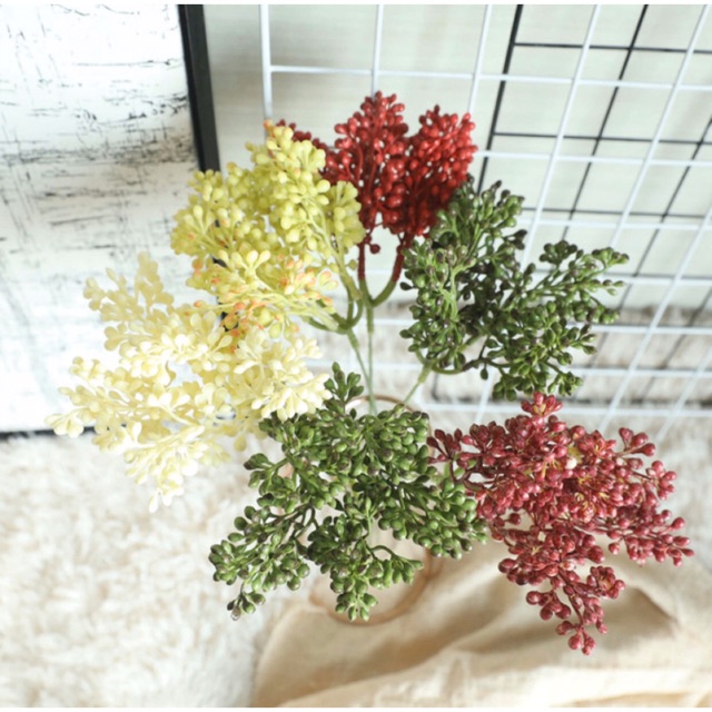 Hoa giả- Cành điểm lý hương Skimmia